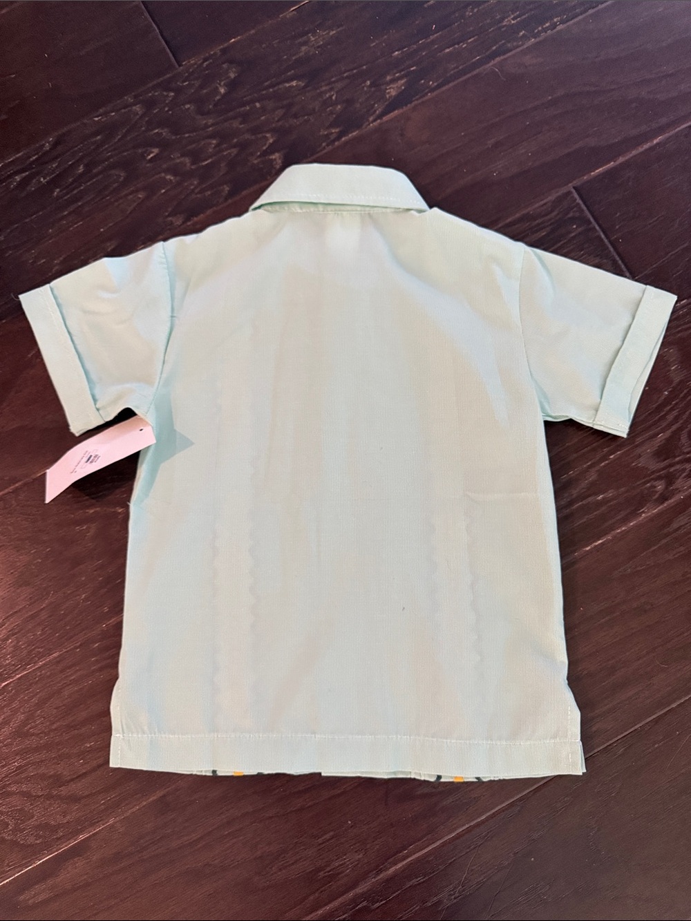 Mint Short-Sleeve Embroidered Button-Down Shirt - Picture 5 of 5